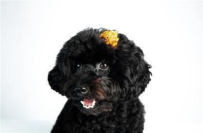 《光与影：33号远征队》发售12天 全球销量超200万套